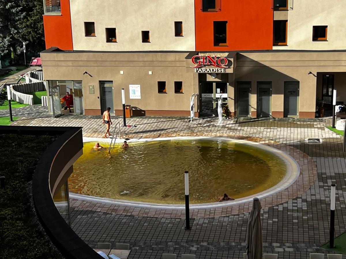 Friends - Free Pool Apartmán Besenova